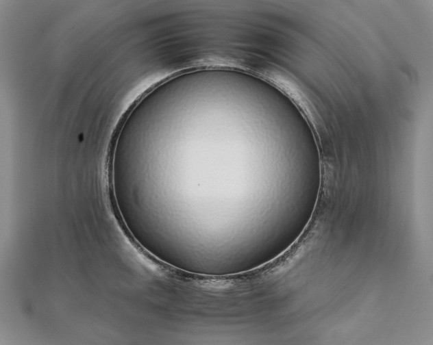 X0000111781141200908061109