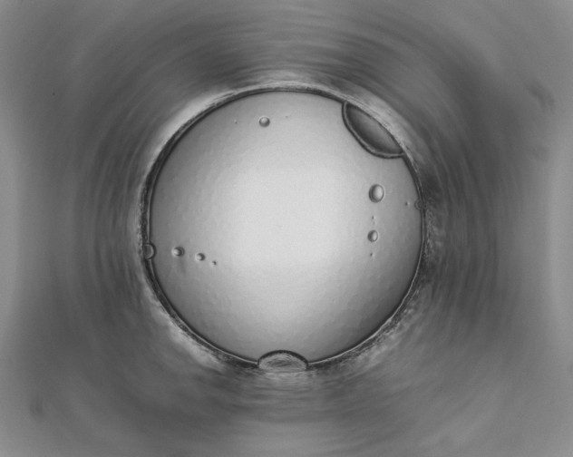 X0000111781142200908061109
