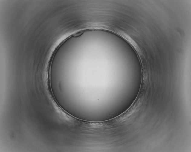X0000111781144200908061109