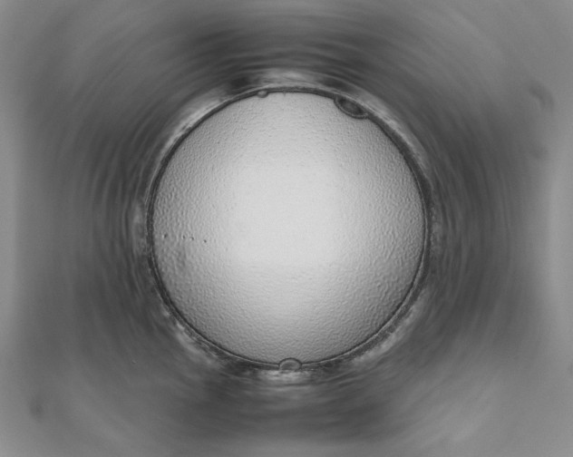 X0000111781145200908061109