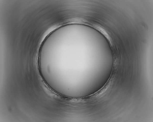X0000111781146200908061109