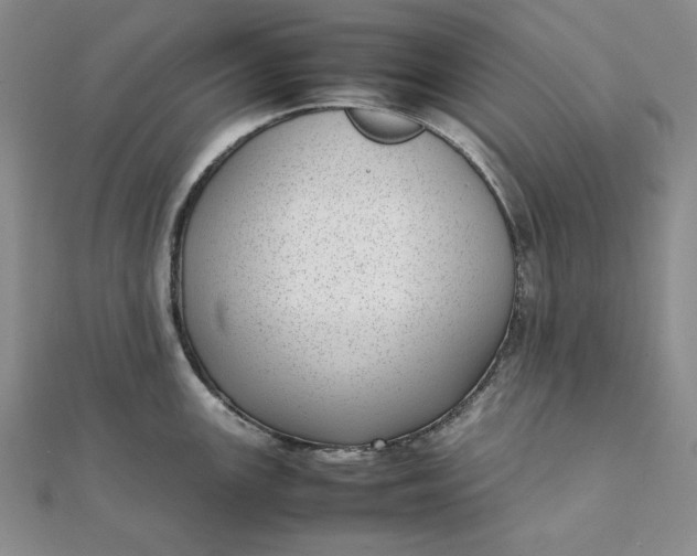 X0000111781147200908061109
