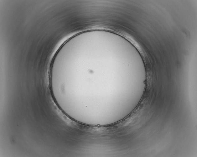 X0000111781148200908061109
