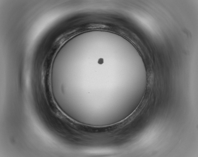 X0000111781151200908061109