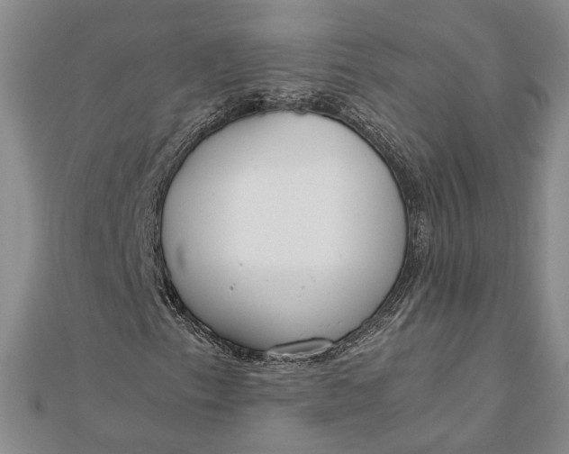X0000111781153200908061109