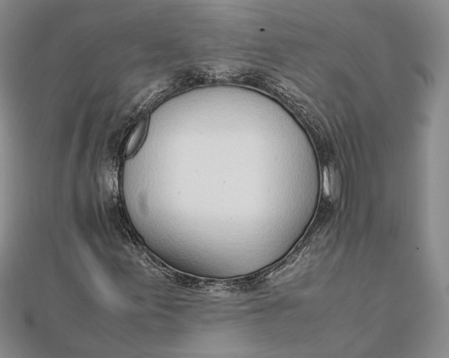 X0000111781155200908061109