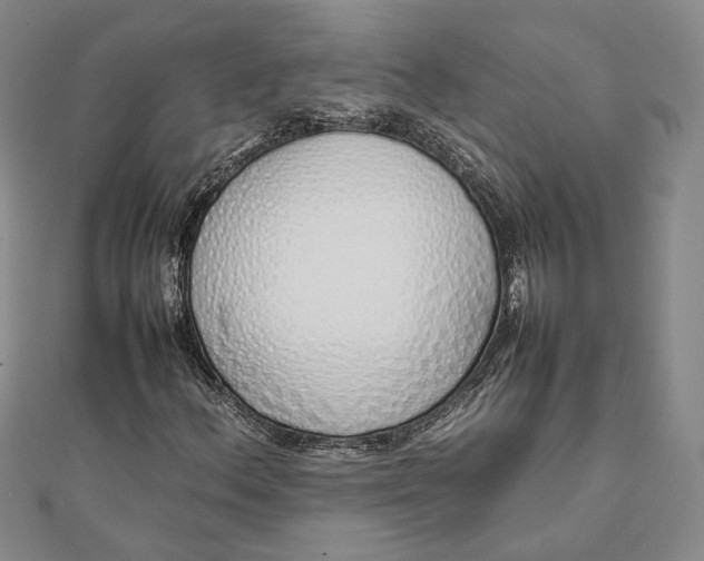 X0000111781156200908061109