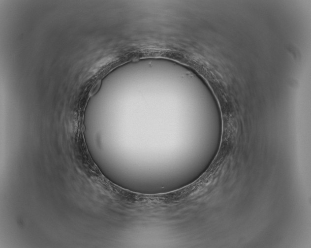 X0000111781157200908061109