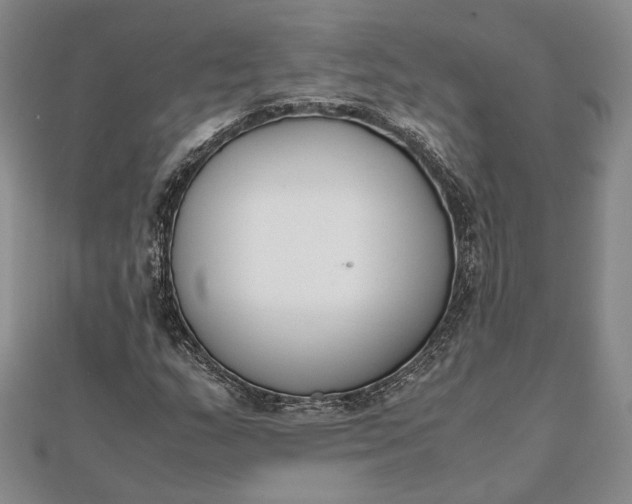 X0000111781159200908061109