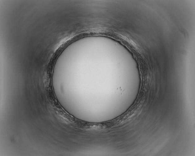 X0000111781160200908061109