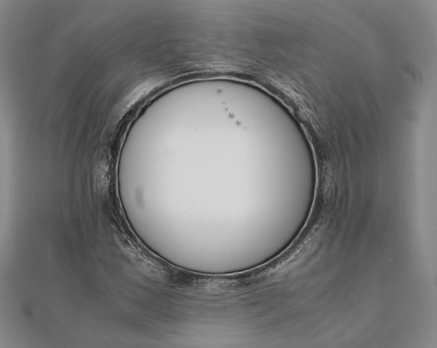 X0000111781163200908061109
