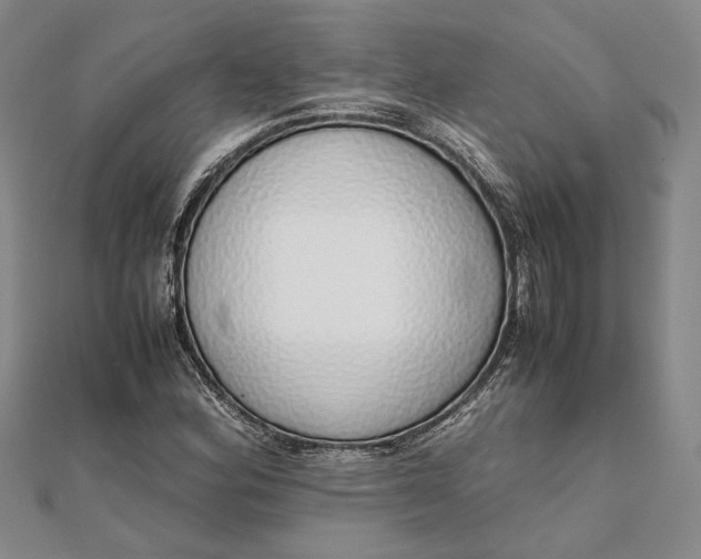 X0000111781164200908061109