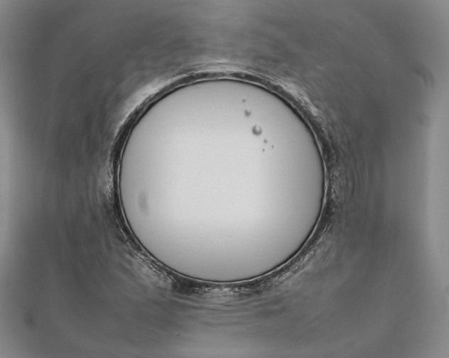 X0000111781167200908061108