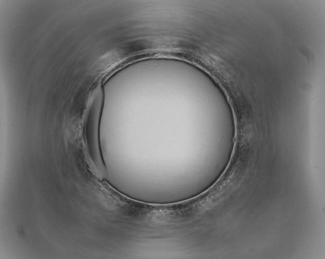 X0000111781169200908061108