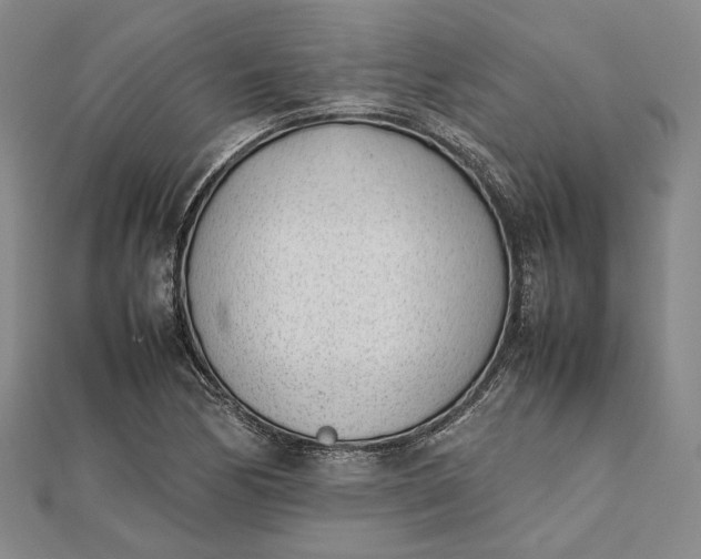 X0000111781170200908061108