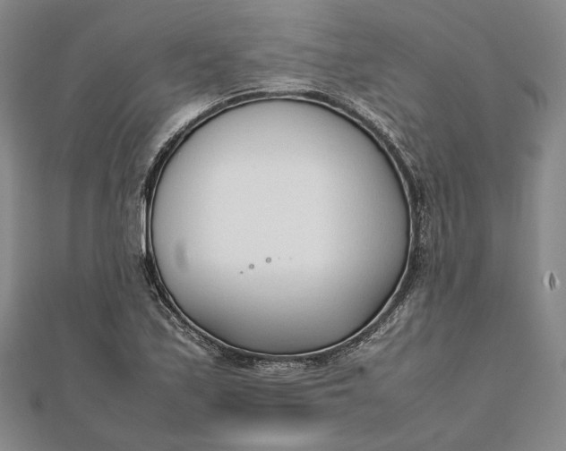 X0000111781171200908061108