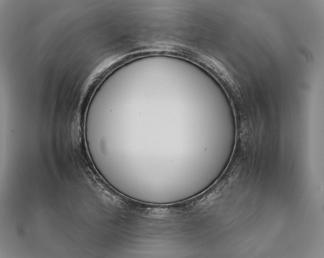 X0000111781172200908061108