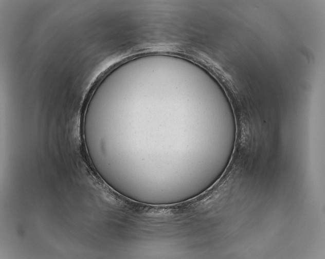 X0000111781174200908061108