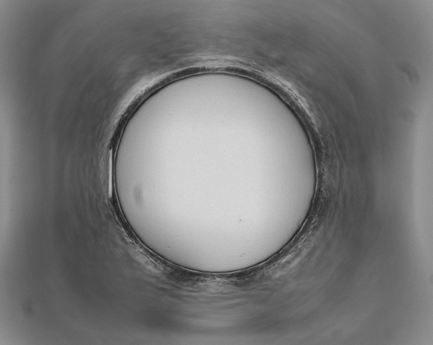 X0000111781175200908061108