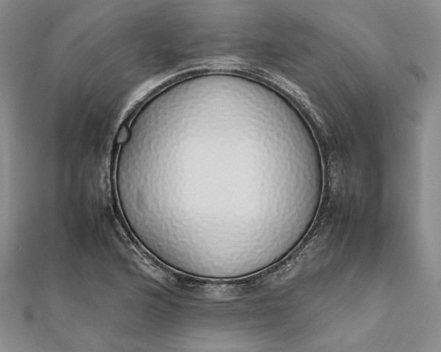 X0000111781176200908061108