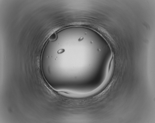 X0000111781177200908061108