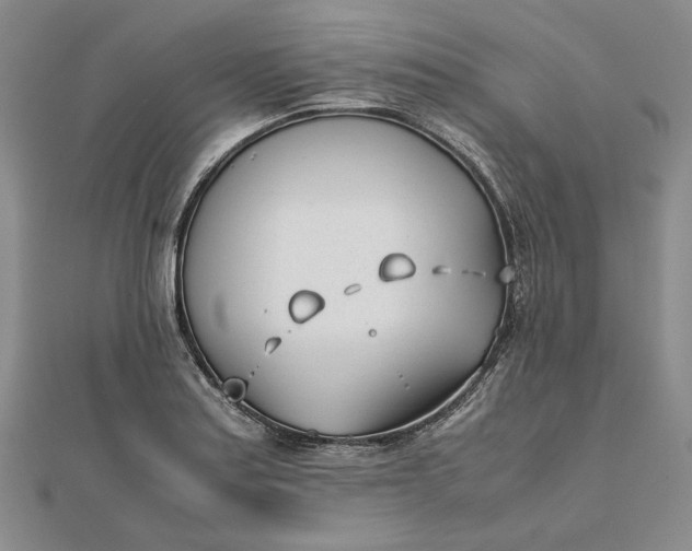 X0000111781179200908061108
