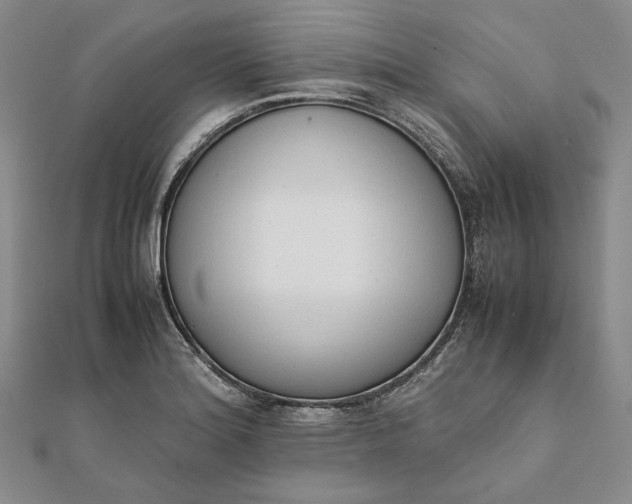X0000111781180200908061108