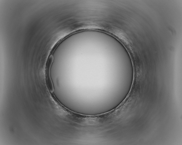 X0000111781181200908061108
