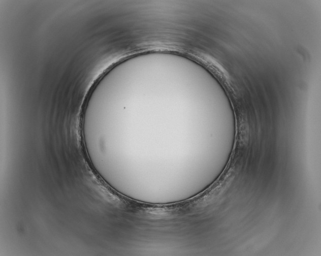 X0000111781182200908061108