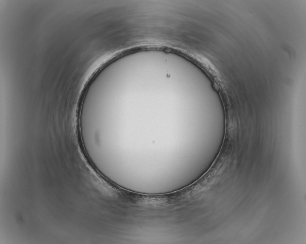 X0000111781183200908061108