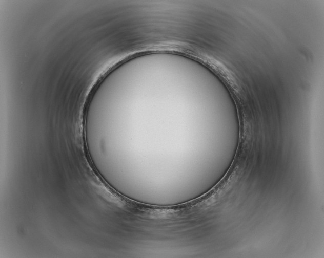 X0000111781184200908061108