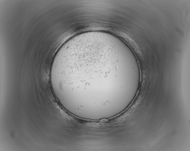 X0000111781185200908061108