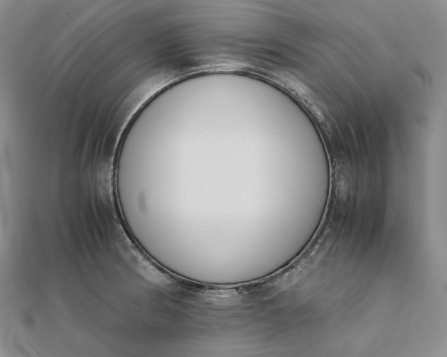 X0000111781186200908061108