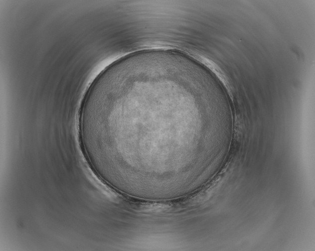 X0000111781187200908061108