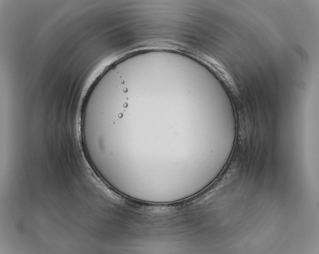 X0000111781188200908061108