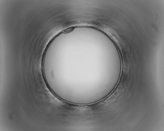 X0000111781189200908061108