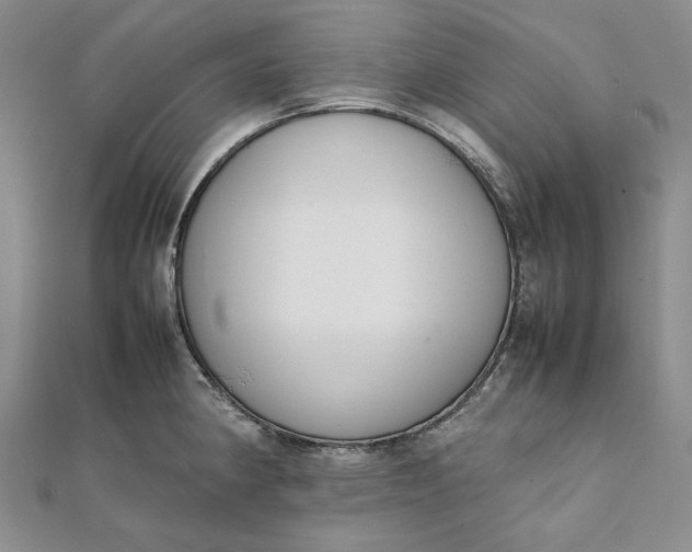 X0000111781190200908061108