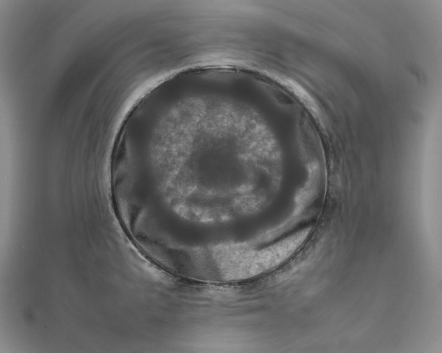 X0000111781191200908061108