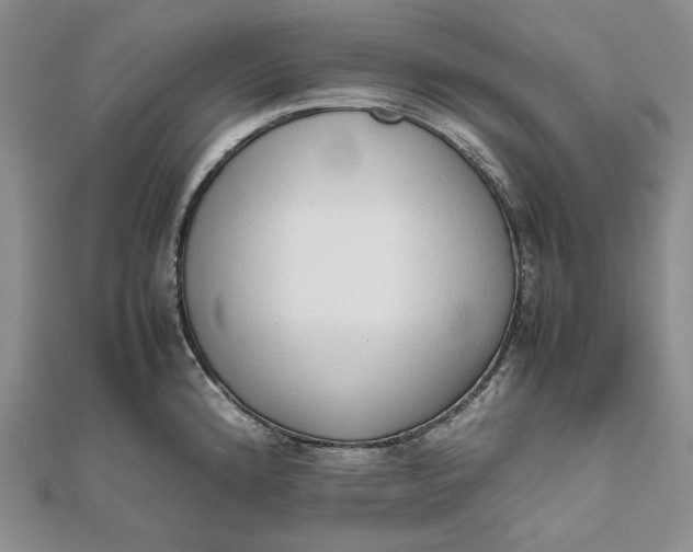 X0000111781192200908061108