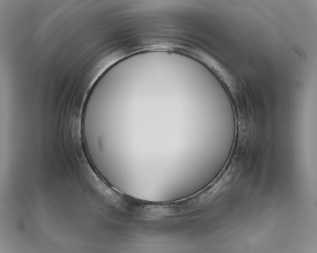 X0000111781194200908061108
