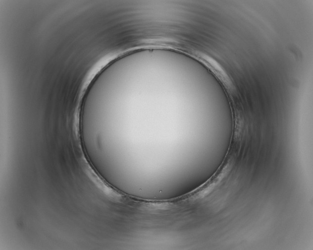 X0000111781196200908061108
