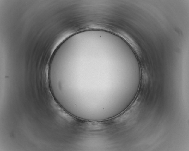 X0000111781198200908061108