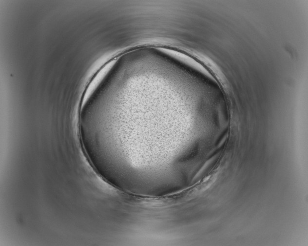 X0000111781199200908061108