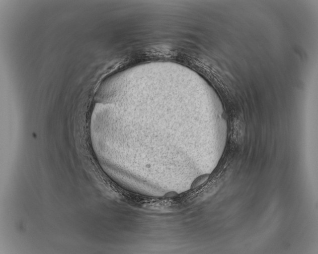 X0000111781201200908061107