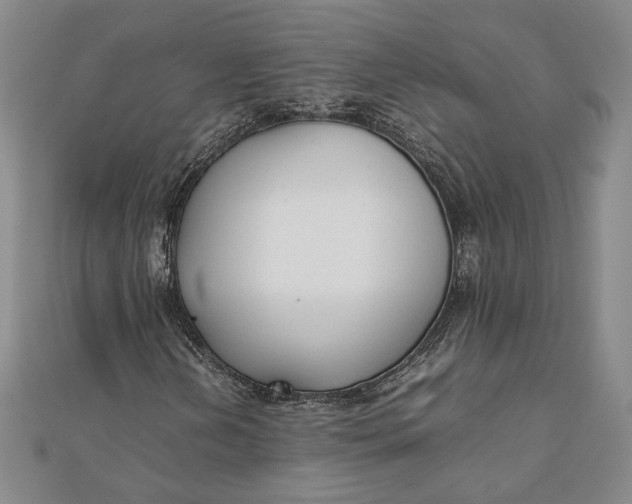 X0000111781202200908061107