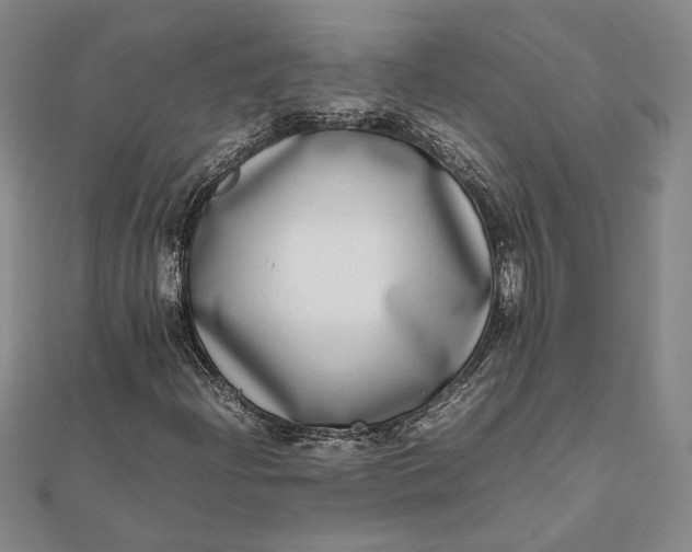 X0000111781204200908061107