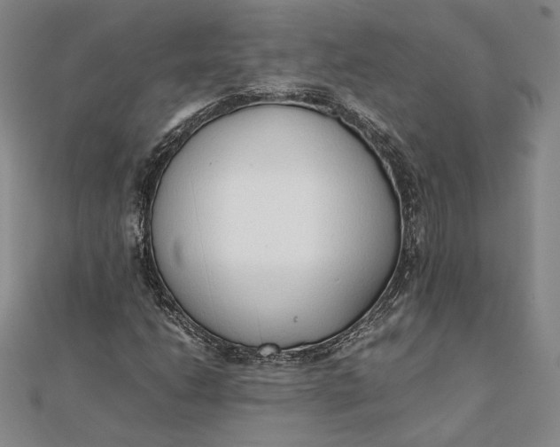 X0000111781206200908061107