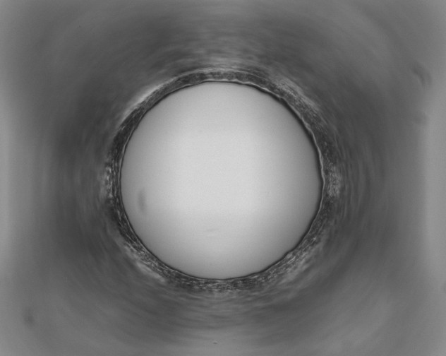 X0000111781208200908061108