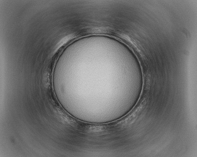 X0000111781211200908061108