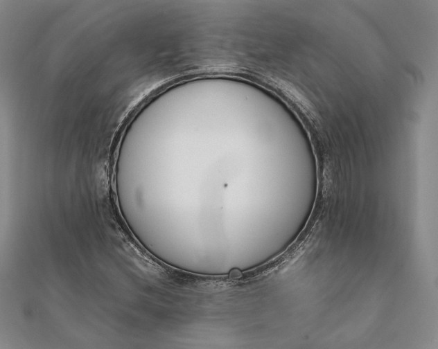 X0000111781212200908061108